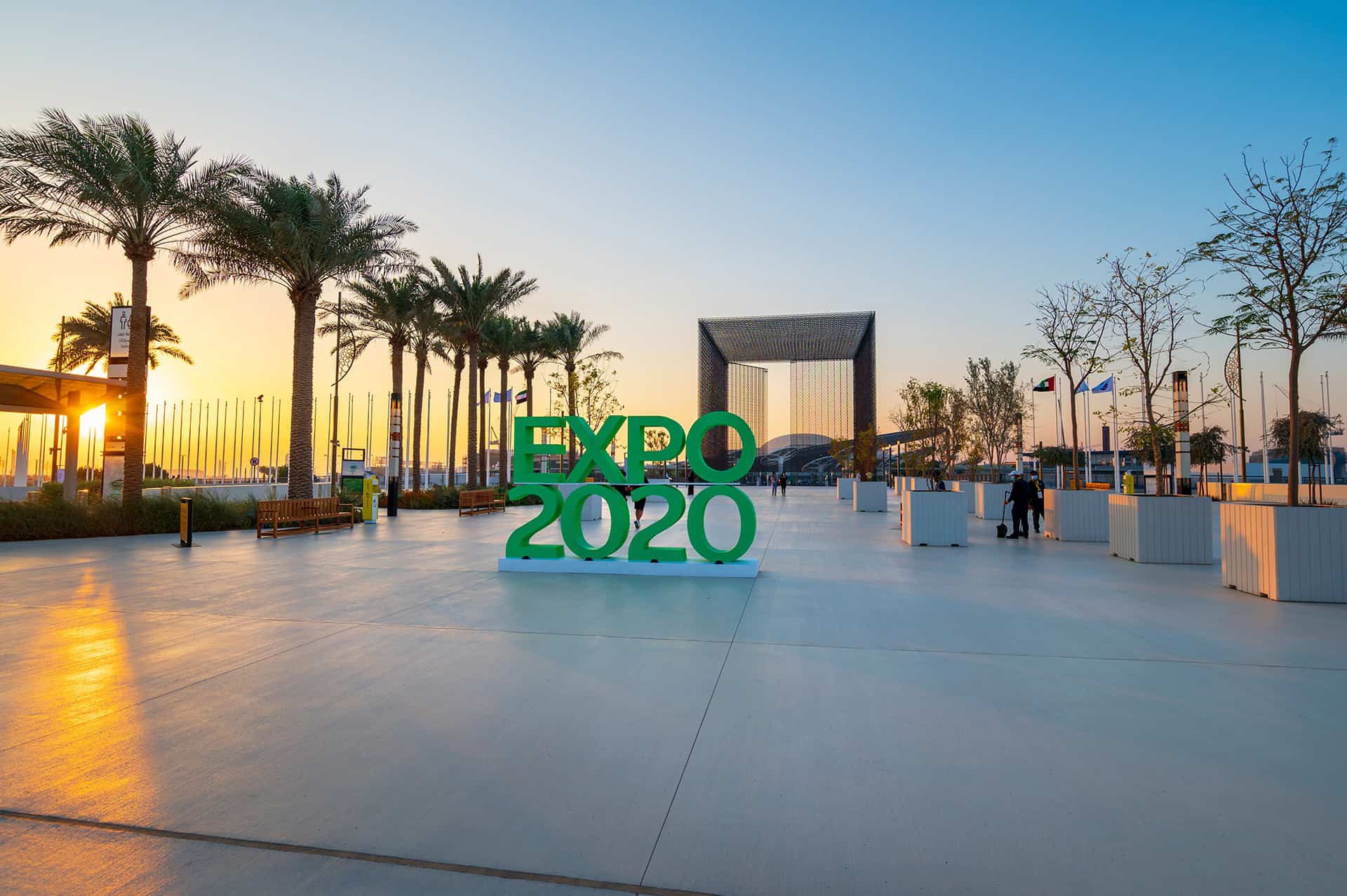discover expo 2020