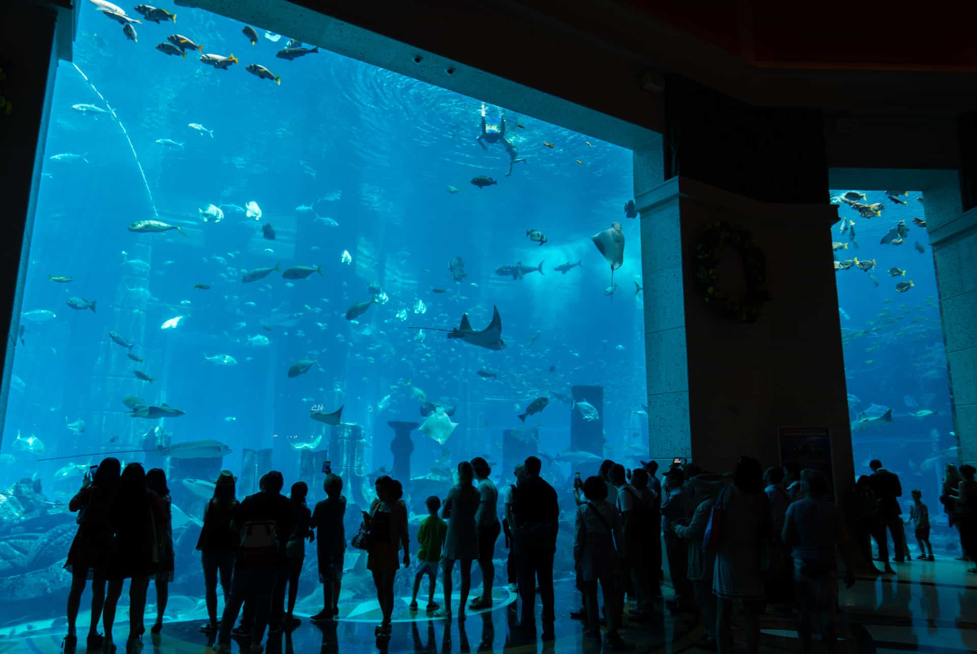 aquarium lost chambers